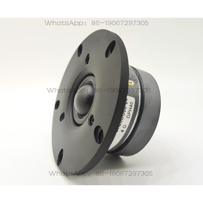 DX25BG60-04 Doppelmagnetischer – Tweeter Bewertung und Preis