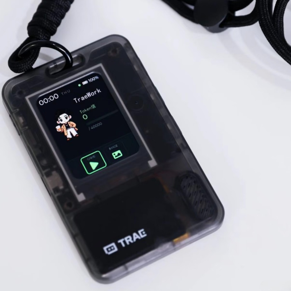 FoloToy AI PASSPORT Elektronis – Speaker Kit Bewertung und Preis